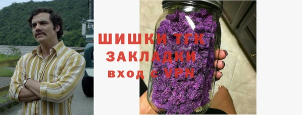 эйфоретик Вяземский